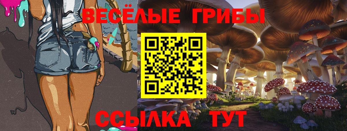 Галлюциногенные грибы Cubensis Горно-Алтайск