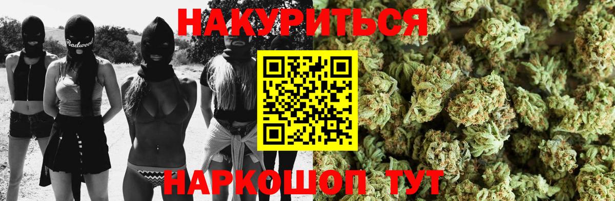 Каннабис планчик Горно-Алтайск